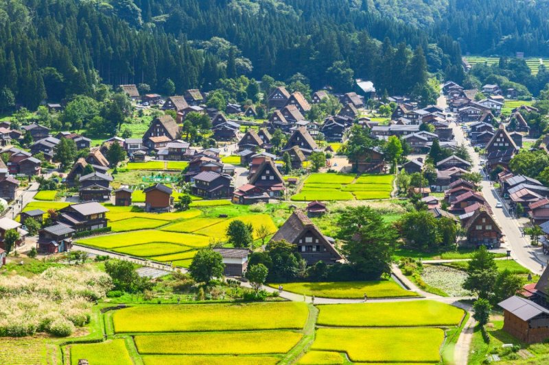 Japón: aldea tradicional de Shirakawa-go y sus casas gassho-zukuri