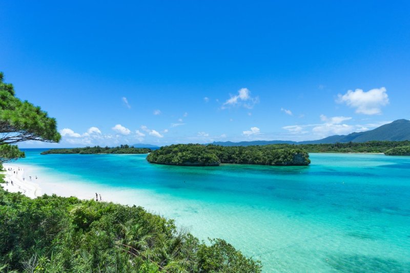 foto del viaje: Lo mejor de Japon en rail pass y Okinawa