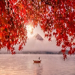 Monte Fuji