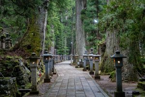 Japón: atmósfera mística en el cementerio de Koyasan