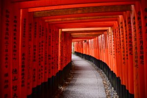 Japón: los miles de torii rojos del santuario Fushimi Inari Taisha en Kioto