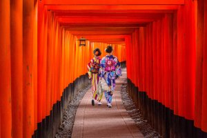 Japón: mujeres en kimono entre los torii del santuario Fushimi Inari, Kioto