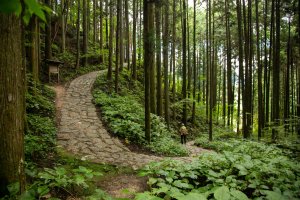 Japón: camino Nakasendo entre Tsumago y Magome