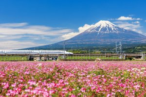 Japón: tren Shinkansen frente al monte Fuji en Shizuoka