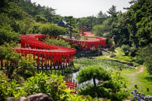 Japón: los torii rojos del santuario Takayama Inari en Aomori