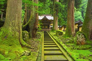 Japón: el templo Eihei-ji rodeado de bosques en Fukui
