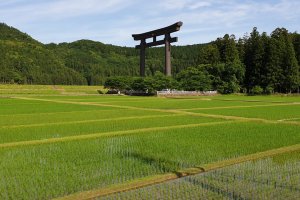 Japón: gran torii de Oyunohara en Kumano Kodo