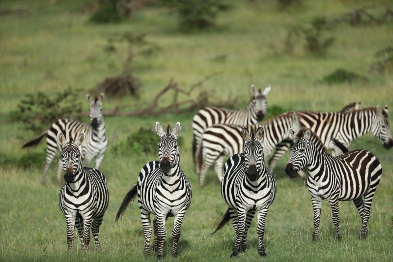 foto del viaje: Viaje a Kenia, Egipto y el Mar Rojo