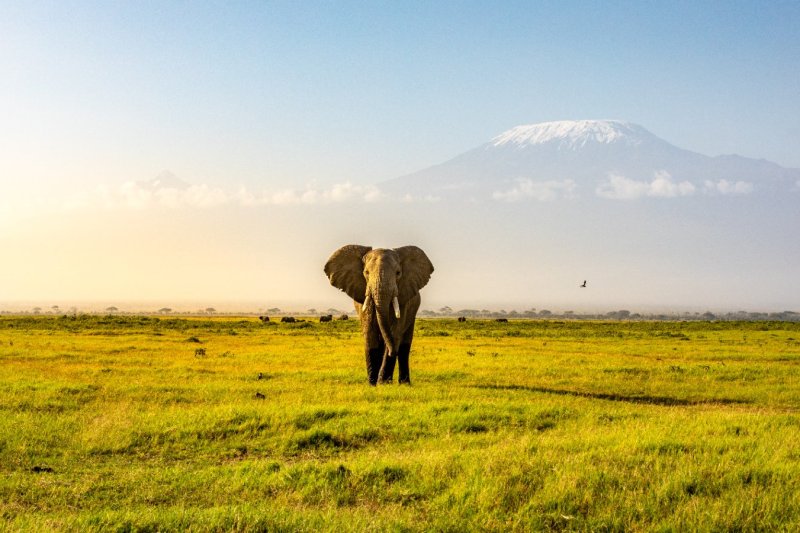 foto del viaje: Viaje a Kenia y Egipto