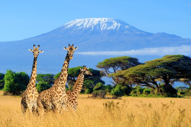 foto del viaje: Viaje a Kenia