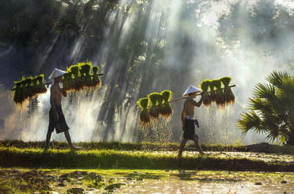 Viaje a Laos, Vietnam y Camboya: circuito de 15 días