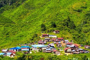 Malasia: pueblo rodeado de plantaciones de té en Cameron Highlands