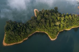 Malasia: paisaje selvático en Royal Belum
