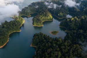 Malasia: panorámica aérea de la selva tropical de Royal Belum