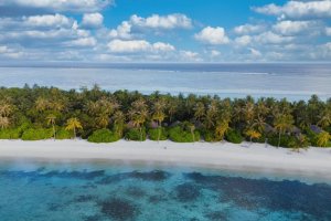 Maldivas: vegetación tropical junto a la playa de arena blanca de Cocoon Maldives