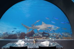 Maldivas: restaurante submarino H2O de You & Me by Cocoon