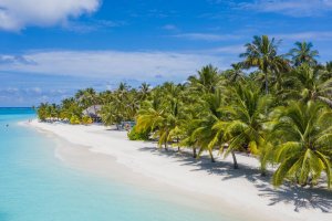 Maldivas: orilla de la playa con aguas cristalinas en Meeru Maldives