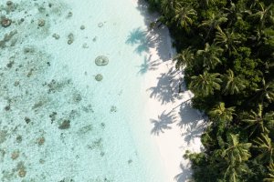 Maldivas: vista aérea de la playa y las palmeras de Sun Siyam Olhuveli