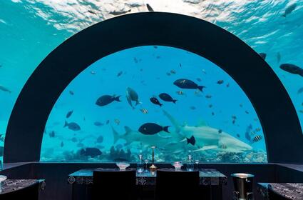 Hotel you & me by cocoon Maldives
