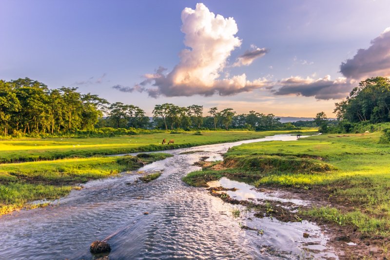 Nepal: paisaje natural del Parque Nacional de Chitwan