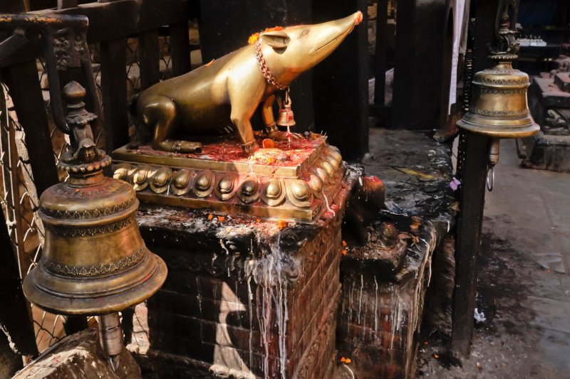 Nepal: rata dorada, vehículo de Ganesha, en Kasthamandap de la plaza Durbar de Katmandú