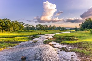 Nepal: paisaje natural del Parque Nacional de Chitwan
