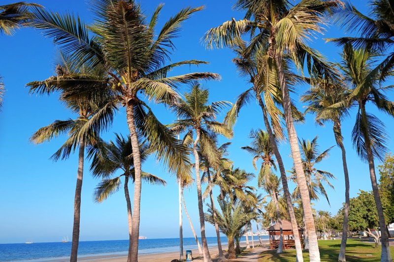 Omán: paseo marítimo de Al Qurum entre palmeras en Mascate