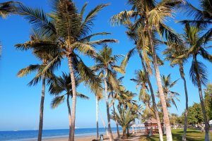 Omán: paseo marítimo de Al Qurum entre palmeras en Mascate