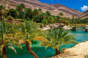 Omán: lago de agua dulce en Wadi Bani Khalid, Muqal