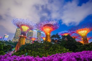 Singapur: los jardines futuristas de Gardens by the Bay