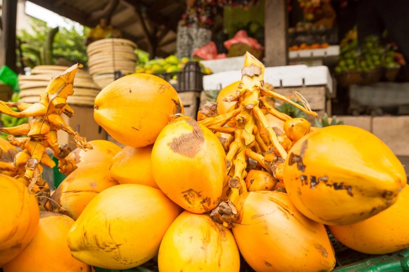Sri Lanka: puestos de fruta con King Coconut (thambili) una especialidad de Sri Lanka