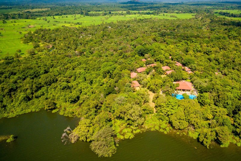 Sri Lanka: hotel escondido en la jungla de la región de Dambulla