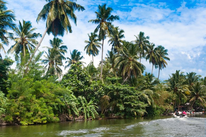 Sri Lanka: safari por el río Madu Ganga entre palmeras tropicales