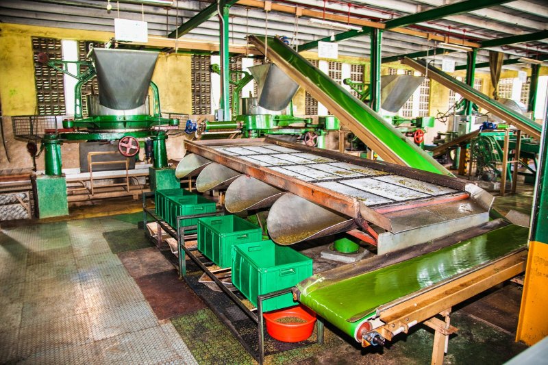 Sri Lanka: interior de una fábrica de té en Nuwara Eliya