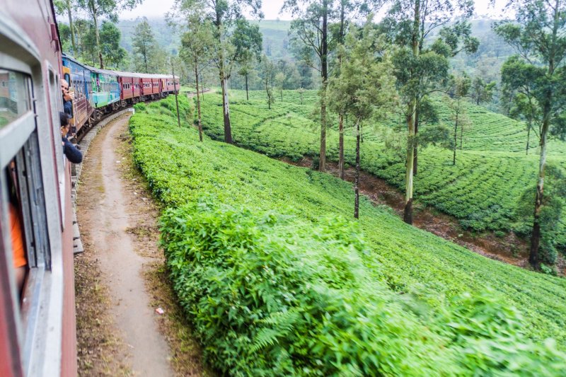 Sri Lanka: tren local entre los paisajes rurales de Nanu Oya