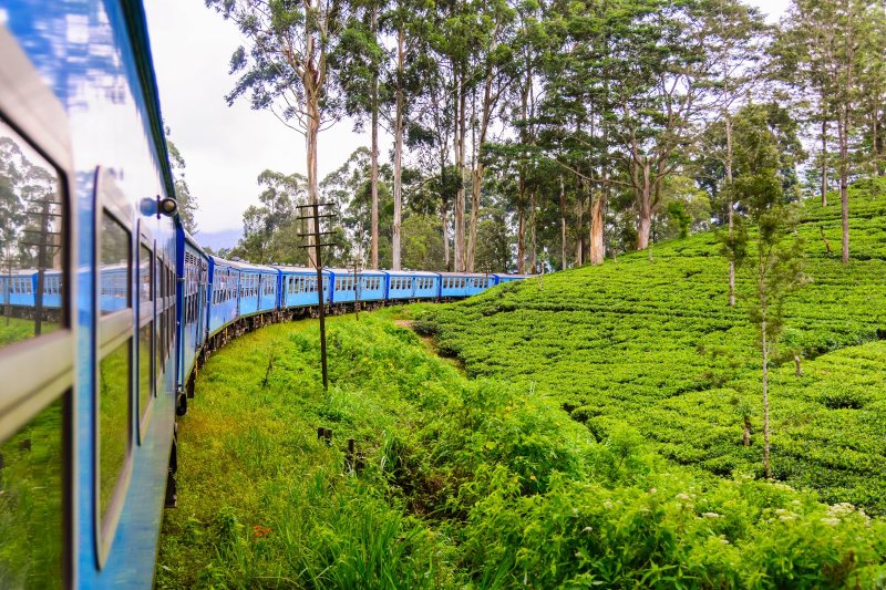 Sri Lanka: tren entre las plantaciones de té del distrito de Nuwara Eliya