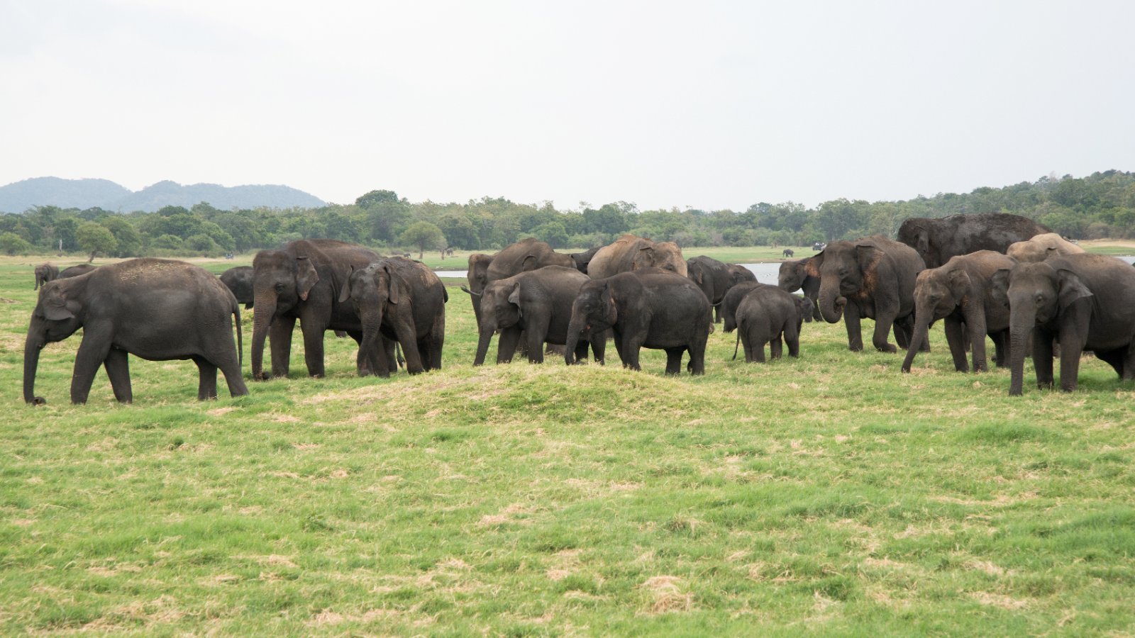 VIAJES A SRI LANKA