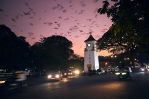 Sri Lanka: el bullicio de Kandy al atardecer bajo una bandada de aves