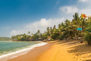 Sri Lanka: arena dorada y palmeras en la paradisíaca playa de Mirissa