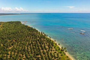 Sri Lanka: palmeras y mar turquesa en Pasikuda