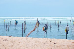 Sri Lanka: pescadores sobre zancos al atardecer en la playa de Weligama