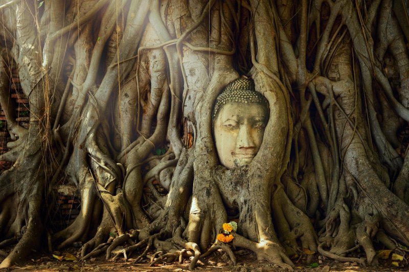 foto del viaje: Viaje por Asia al completo, 30 días