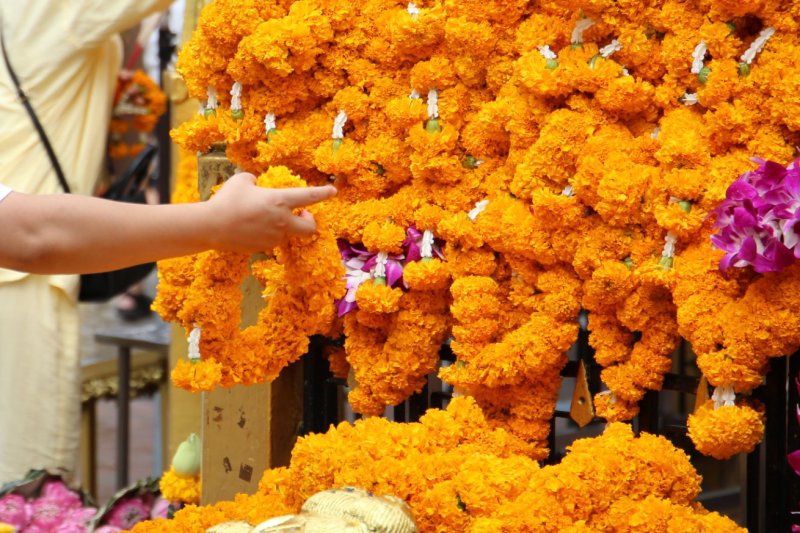 Tailandia: guirnaldas de flores de caléndula para las ofrendas en el santuario Erawan de Bangkok