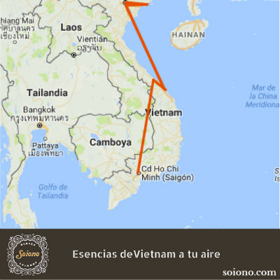 Esencias de Vietnam a tu aire