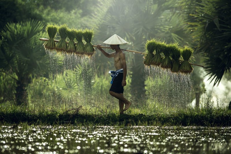 foto del viaje: Vietnam al completo y la isla Phu Quoc