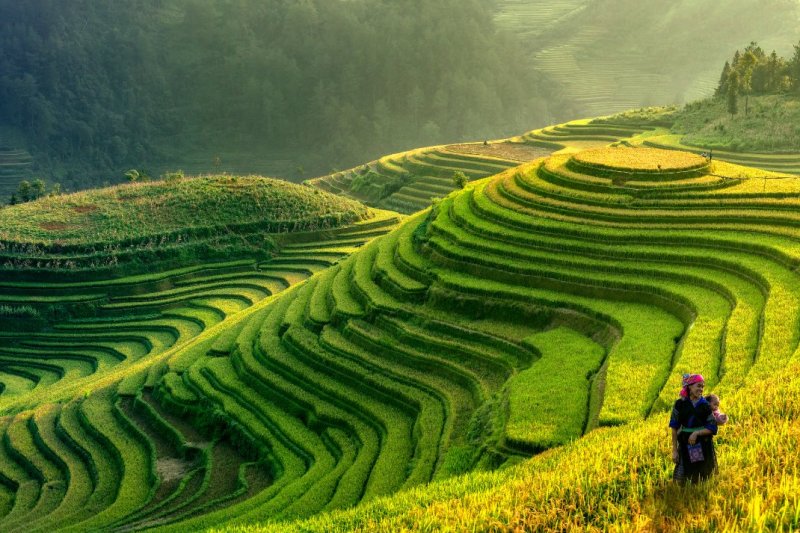 foto del viaje: Vietnam al completo y Sapa