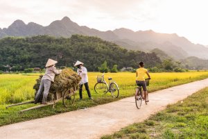 Vietnam: paseo en bicicleta entre arrozales en Mai Chau