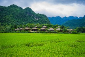 Vietnam: el valle de Mai Chau