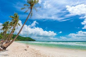 Vietnam: playa Sao en Phu Quoc con palmeras tropicales y arena blanca