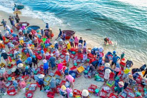 Vietnam: playa de Tam Tien y su mercado pesquero en Quang Nam, Hoi An